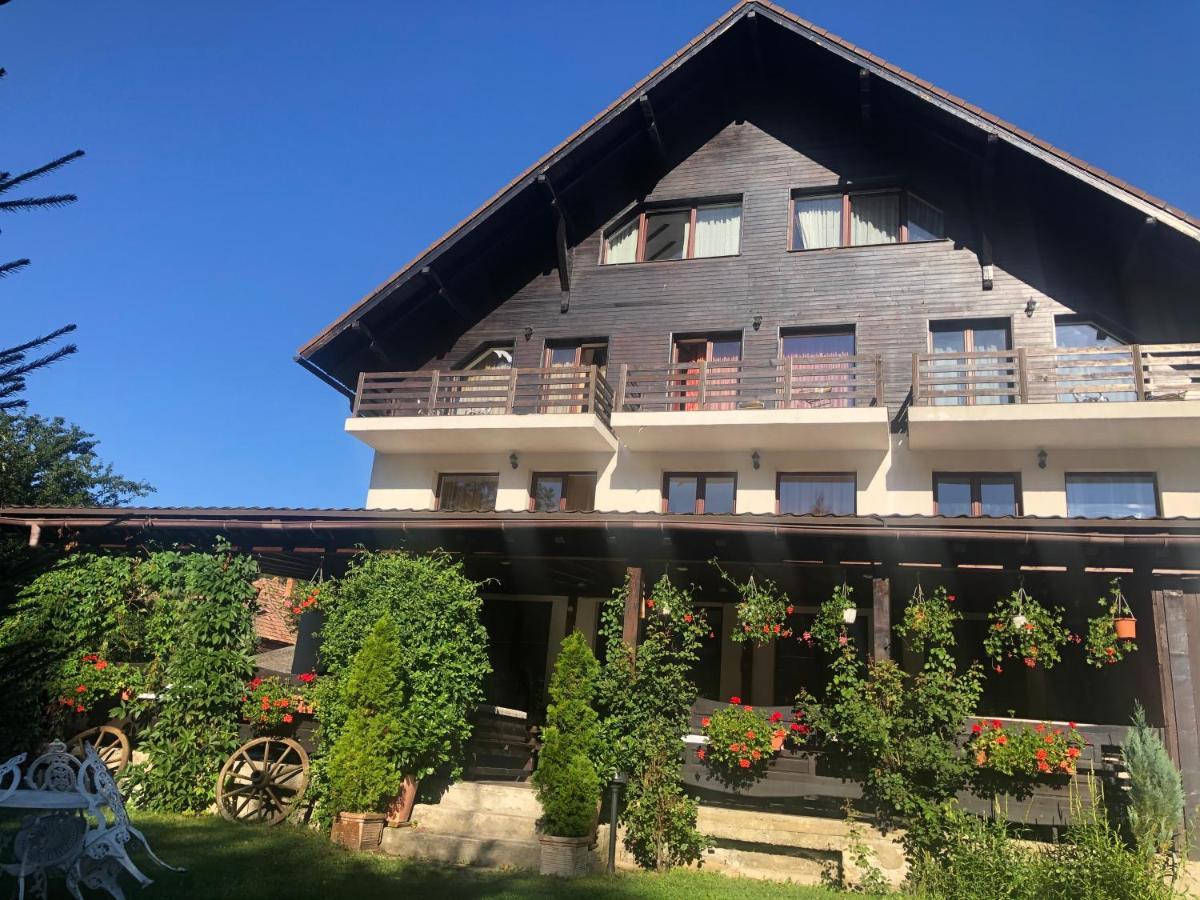 Hotel Boutique Garden Resort By Brancoveanu Moieciu de Jos Zewnętrze zdjęcie